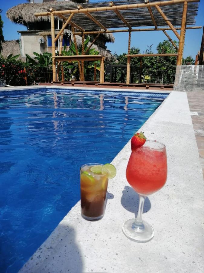 Rincon Del Mar Palomino